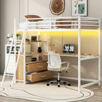 Twin Metal Wood Loft Bed with Desk & LED Light