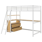 Twin Metal Wood Loft Bed with Desk & LED Light
